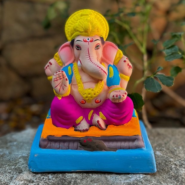 6'' Maysuri No 20 CM