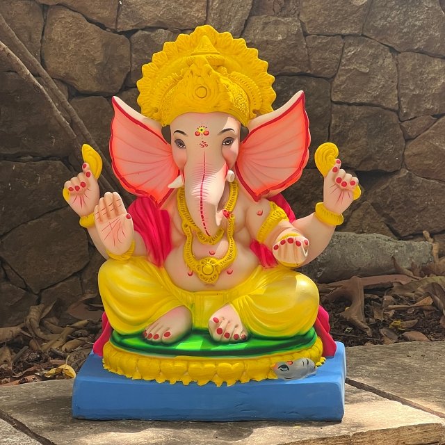 18'' Viju Maysuri No 8 CM